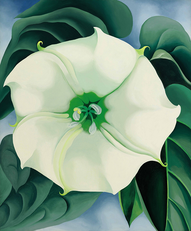 Pintura intitulada ‘Jimson Weed/White Flower No. 1’, da pintora americana Georgia O'Keeffe