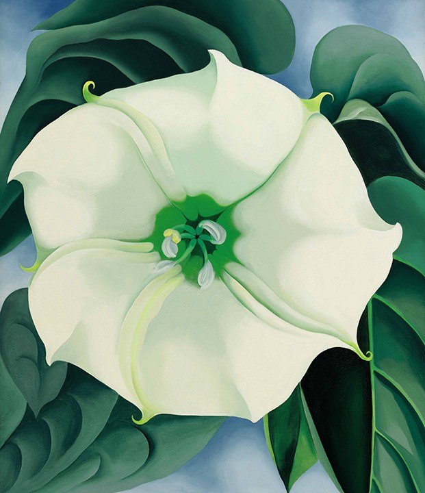 Pintura intitulada ‘Jimson Weed/White Flower No. 1’, da pintora americana Georgia O'Keeffe