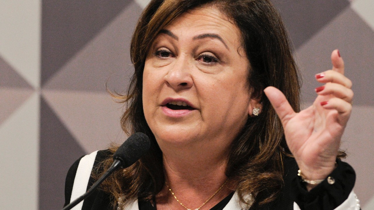 Ministra Kátia Abreu faz pronunciamento durante Comissão Especial do Impeachment no Senado