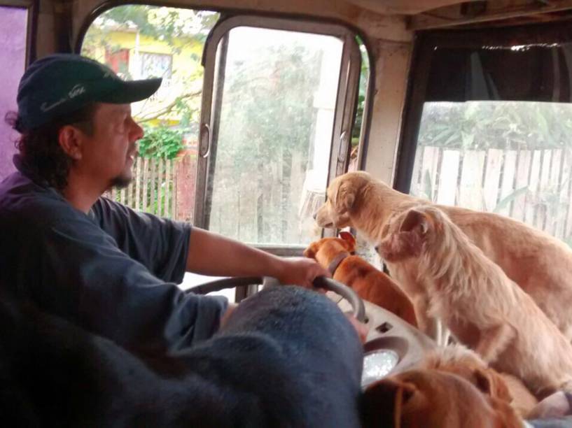 Homem salva filhotes de cachorro de enchente após temporal no RS