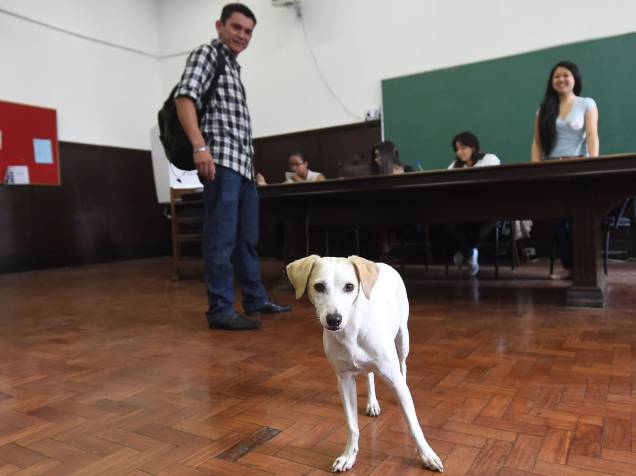 Movimentação do segundo turno começa cedo em São Paulo. Eleitores levam até cachorro para a votação