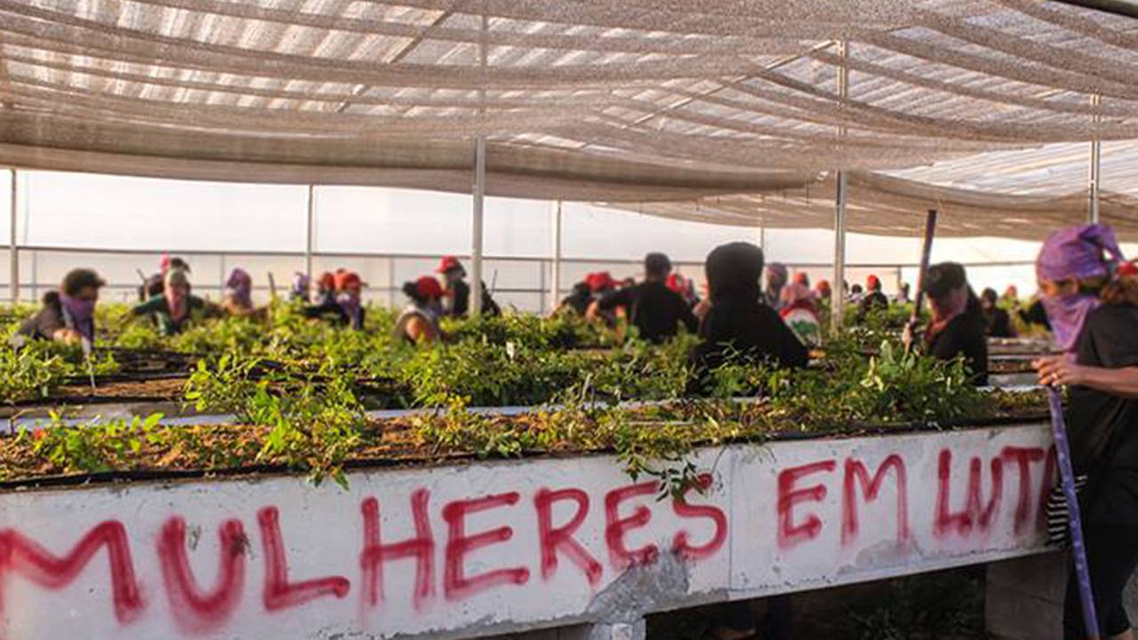 Integrantes do MST invadiram a FuturaGene, fábrica da Suzano para plantas transgênicas em Itapetininga (SP) - 05/03/2015