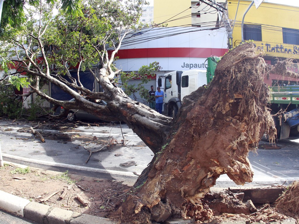 Temporal derruba árvores e provoca destruição em Campinas (SP)