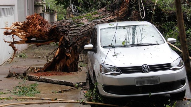 Chuva derruba árvor na Rua Morgado de Matheus, no bairro da Vila Mariana, Zona Sul de São Paulo. A árvore atingiu três veículos e derrubou dois postes