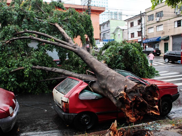 Forte chuva provoca a queda de árvore de grande porte sobre um veículo na rua do Manifesto, no bairro do Ipiranga, zona Sul de São Paulo