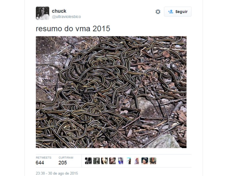 Resumo do VMA: só cobras