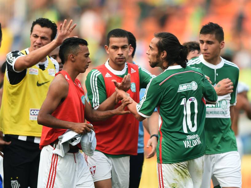 Jogadores do Palmeiras e Santos depois da partida no estádio do Pacaembu, pela 29ª rodada do Campeonato Brasileiro 2014, neste domingo (19)