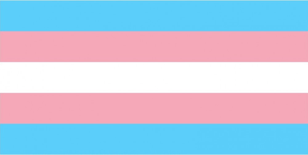 Bandeira do movimento transgênero