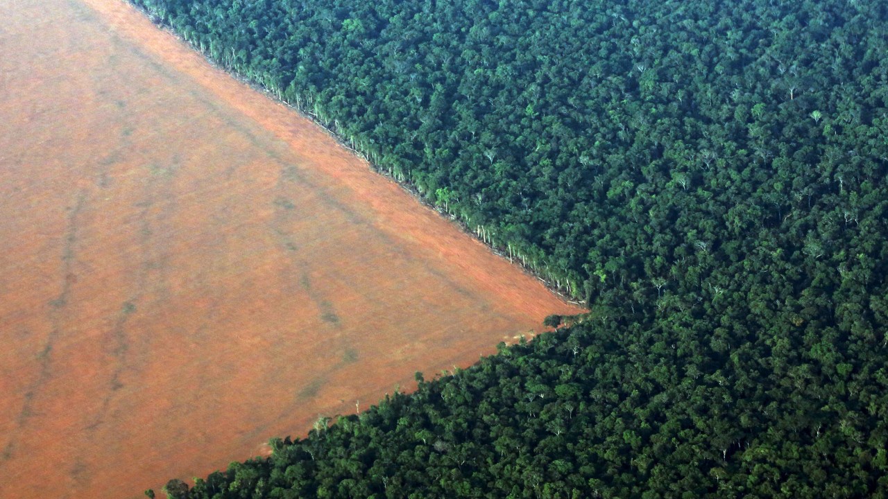 Aréa desmatada da Floresta Amazônica para o plantio de soja em uma imagem registrada no Mato Grosso no dia 4 de outubro e divulgada hoje. O país espera produzir 3.2% de soja a mais no período de 2015/16 comparado a 2014/15