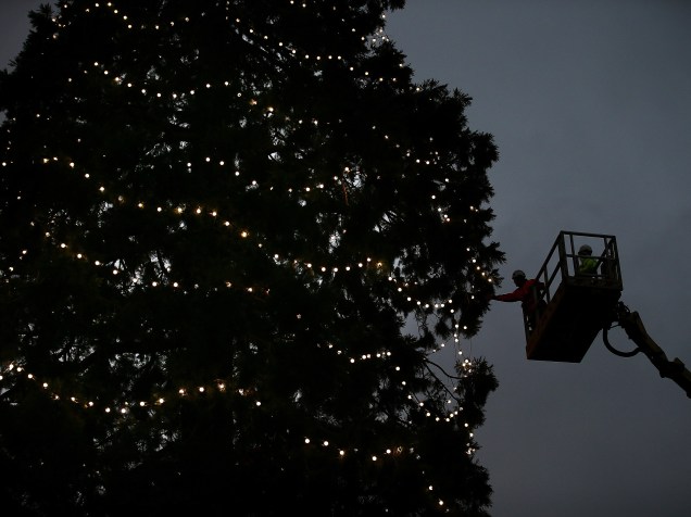 Trabalhadores decoram uma árvore de Natal gigante no Wakehurst Place, em Haywards Heath, na Inglaterra
