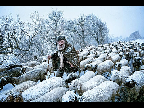 Old Shepherd, fotografia de Saeed Barikani, do Irã