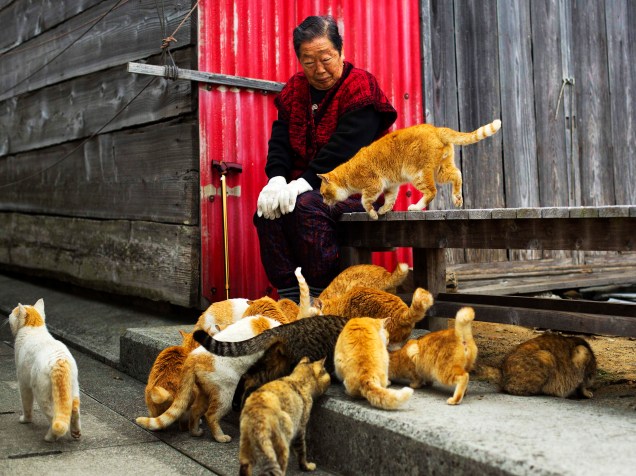 Dezenas de gatos cercam uma moradora da ilha de Aoshima, no sul do Japão