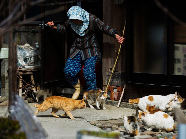 Mulher tenta espantar os gatos de sua casa na ilha de Aoshima, sul do Japão conhecida como a "Ilha dos Gatos"