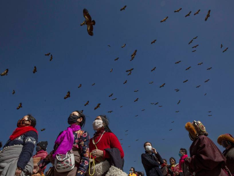 Abutres usados para consumir os corpos dos mortos durante ritual do budismo voam sobre a multidão