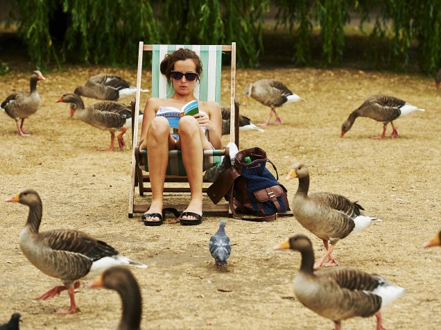 Mulher fica rodeada de gansos enquanto toma um banho de sol e lê um livro no Hyde Park em Londres, na Inglaterra - 01/07/2015