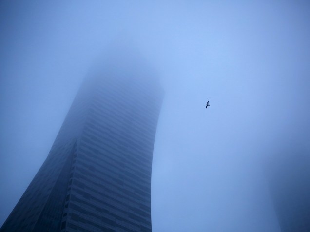 Pássaro voa pelos céus encobertos por névoa em Varsóvia, Polônia