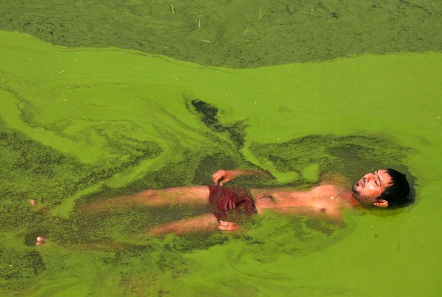 Homem se refresca em lago cheio de algas, nos arredores de Jammu, na Índia