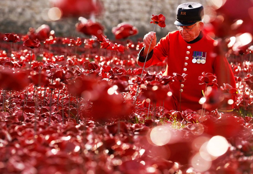 Instalação Blood Swept Lands and Seas of Red em processo na Torre de Londres, Inglaterra