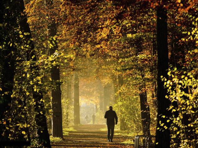 Homem caminha pela floresta urbana Eilenriede em Hannover, na Alemanha - 17/11/2014