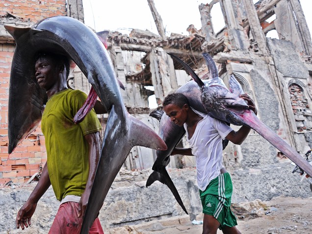 Jovens carregaram as carcaças de um tubarão (à esq.) e um peixe-espada para o mercado local em Hamarweyne perto do porto de Mogadíscio, na Somália