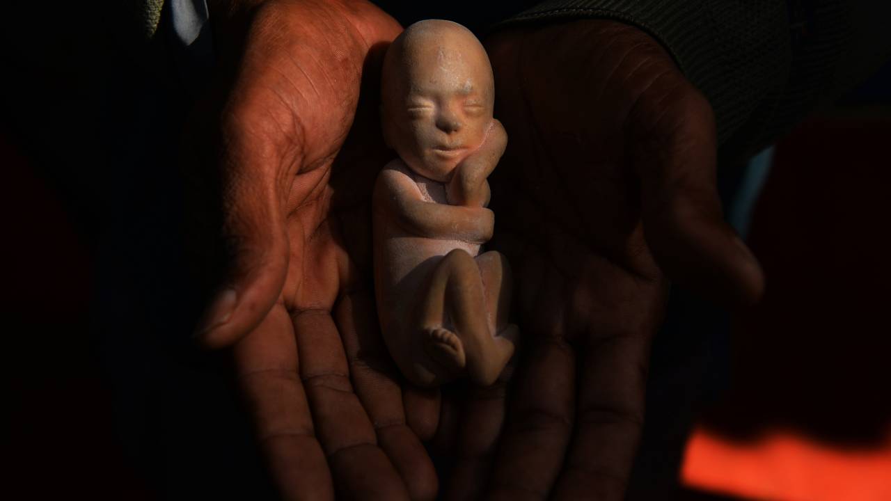Ativista durante protesto contra o aborto, em Nova Délhi, na Índia