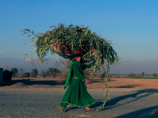 Mulher afegã carrega saco de relva na cabeça pela província de Nangarhar, Afeganistão
