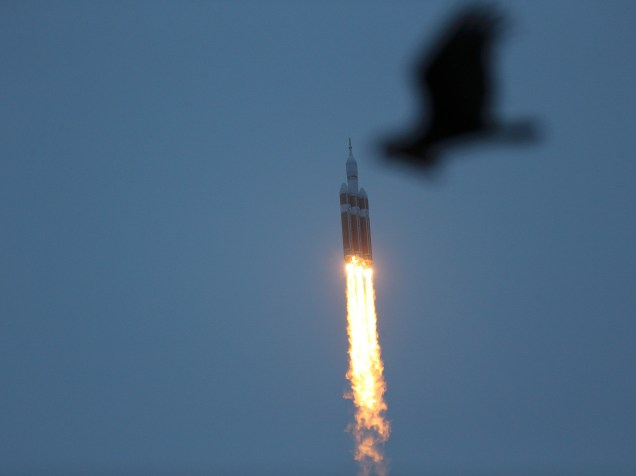 Pássaro voa próximo ao local do lançamento do foguete Delta IV com a nave espacial Orion na Estação da Força Aérea no Cabo Canaveral, Flórida