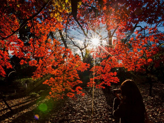 Muler tira fotos em dia de outono em um parque de Tóquio, no Japão