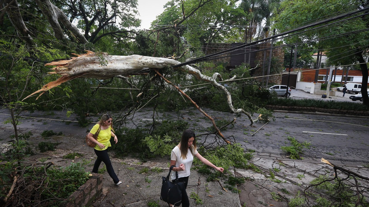 Queda de árvore na avenida República do Líbano, em São Paulo, após por forte chuva na madrugada desta segunda-feira - 29/12/2014