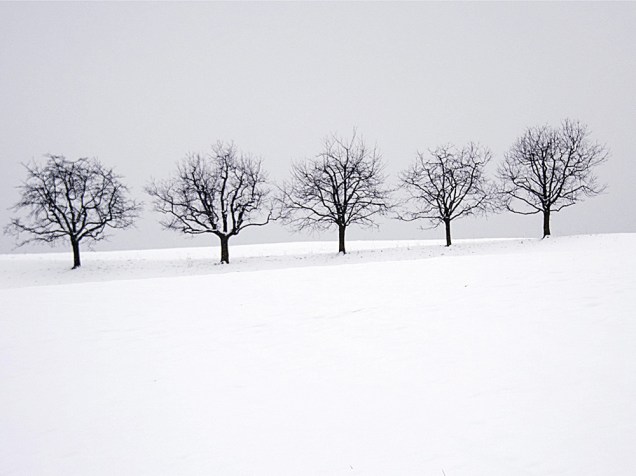 Vista de uma paisagem de inverno em Boezberg, na Suíça