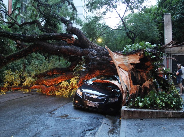 Uma árvore de grande porte caiu sobre três veículos e atingiu a rede elétrica, na Alameda Casa Branca, no bairro dos Jardins, em São Paulo durante um temporal