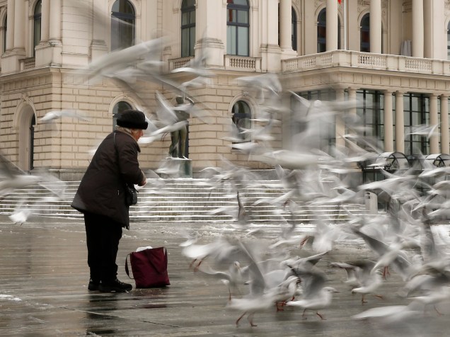 Mulher alimenta gaivotas em frente ao Opera House, Austrália