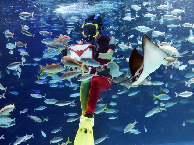 Mergulhador alimenta peixes com carne de lula em formato de envelope, no Aquário Sunshine, em Tóquio. O evento publicitário será realizado até o próximo sábado (14), quando é celebrado em grande parte do mundo o Dia dos Namorados