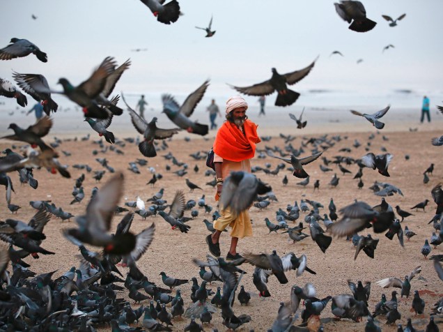 Na Índia, hindu anda entre pássaros em praia de Mumbai