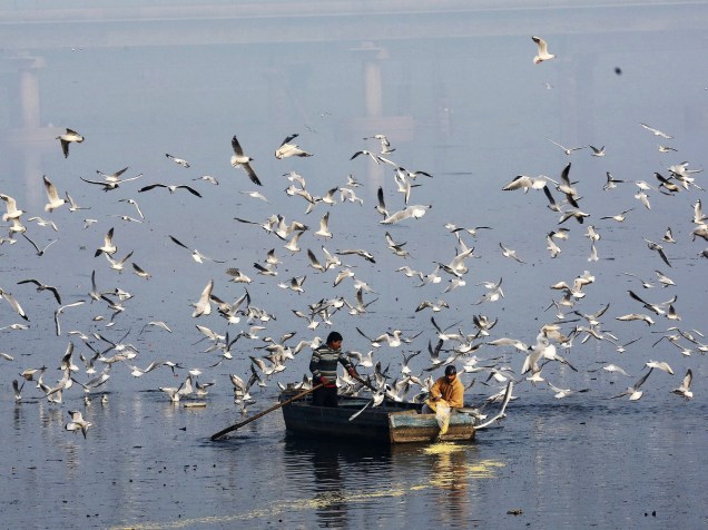 Homem alimenta um bando de aves no rio Yamuna, em Nova Délhi, na Índia - 04/03/2015
