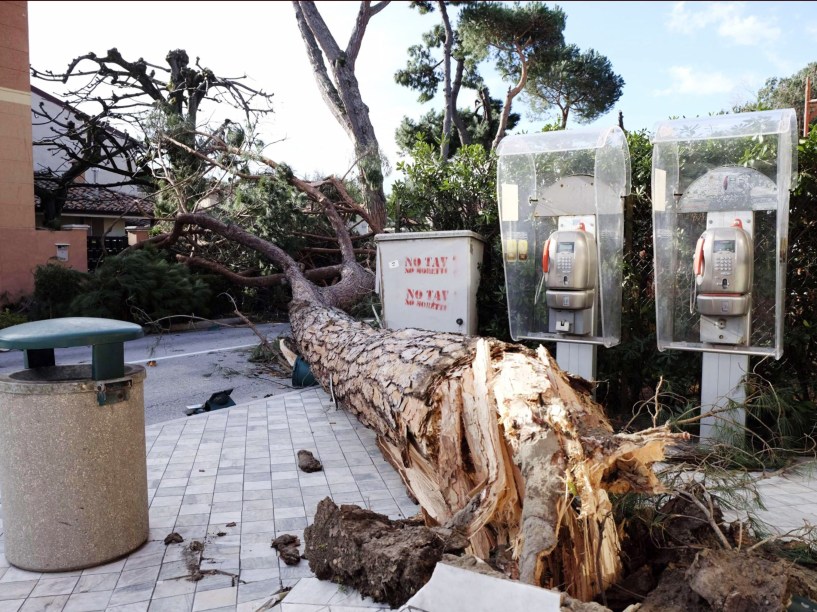 Árvores foram arrancadas por fortes ventos durante tempestade em Versilia, na Itália - 05/03/2015