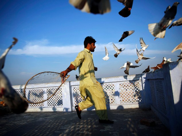 Homem coloca seus pombos de estimação para voar do telhado de sua casa em um bairro antigo de Délhi, na Índia - 18/03/2015