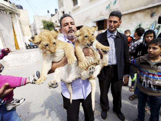 Homem segura dois filhotes de leão em Rafah, sul de Gaza. Os animais foram comprados de um zoológico e vivem com a família - 19/03/2015