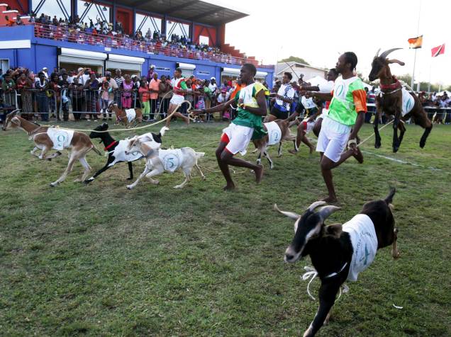 Criadores participam de corrida de cabras realizada no período da Páscoa em Mount Pleasant, em Trinidad e Tobago