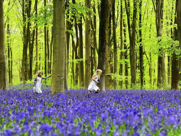 Crianças brincam em uma floresta coberta de jacintos perto de Marlborough, no sul da Inglaterra