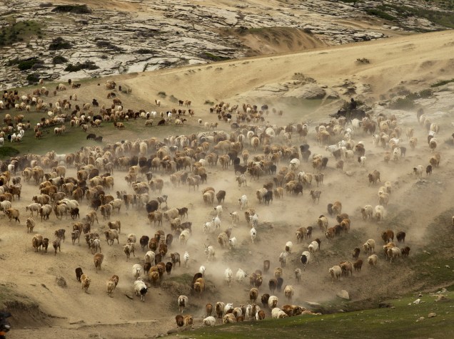 Pastor montado em cavalo controla manada de bodes e ovelhas em região montanhosa em Altay Prefecture, China - 03/06/2015