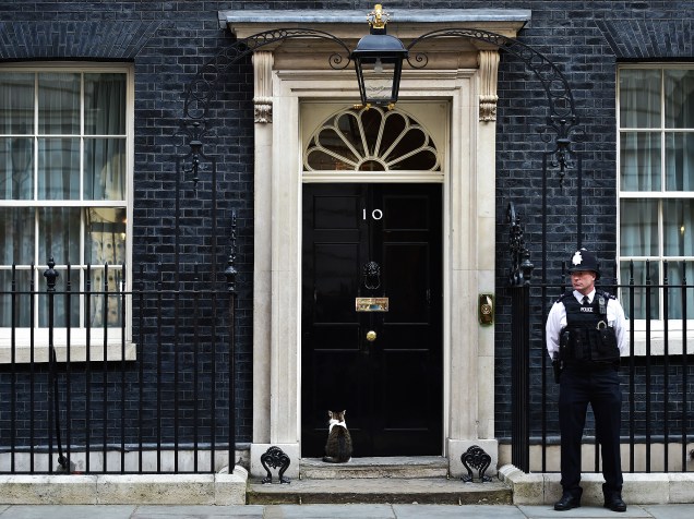 O gato Larry é fotografado em frente à porta do número 10 da rua Downing, em Londres, onde vive o primeiro-ministro britânico, David Cameron