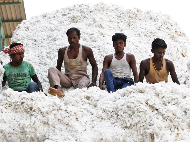 Trabalhadores descarregam algodão na caçamba de um caminhão em uma unidade de processamento de Kadi, no estado de Gujarat, Índia - 20/10/2015