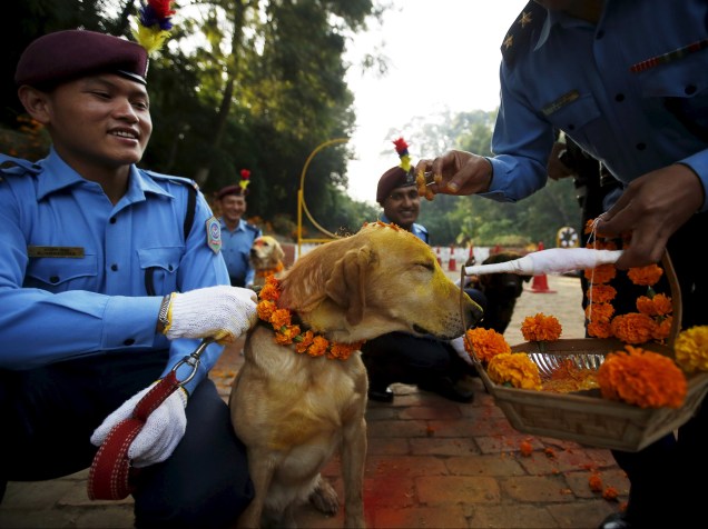 Acompanhados de seus cães, policiais celebram o festival Tihar no Centro de Treinamento para Cães da Escola de Polícia em Katmandu. O festival que acontece anualmente, é comemorado por todo o país homenageado também outros animais - 10/11/2015