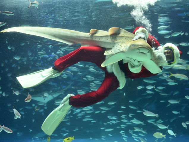 Para atrair visitantes, mergulhador vestido de Papai Noel nada com peixes em aquário de Tóquio, no Japão - 12/11/2015