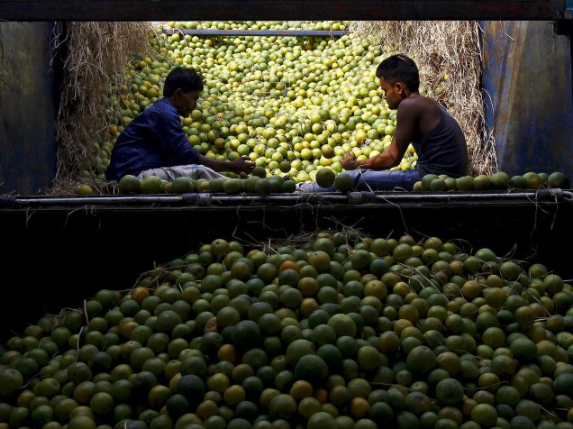 Trabalhadores separam limões depois de descarregarem um caminhão num mercado de frutas em Calcutá, na Índia - 13/11/2015