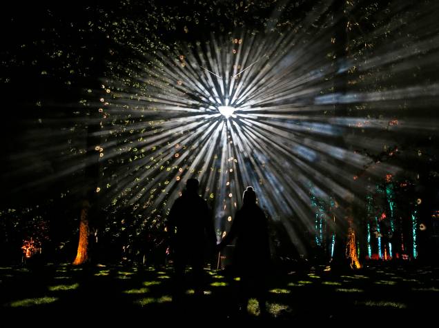 Visitantes observam o show de luzes do Natal Encantado, evento promovido no Arboreto Nacional da Comissão Florestal em Westonbirt, Tetbury, no oeste da Inglaterra - 26/11/2015<br><br>