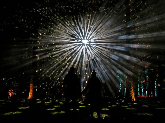 Visitantes observam o show de luzes do Natal Encantado, evento promovido no Arboreto Nacional da Comissão Florestal em Westonbirt, Tetbury, no oeste da Inglaterra - 26/11/2015<br><br>