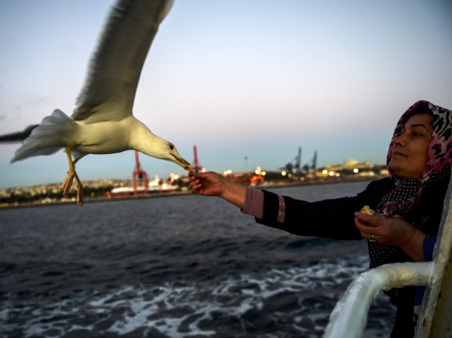 Mulher alimenta uma gaivota, enquanto viaja em uma balsa sobre o Bósforo em Istambul, na Turquia - 04/12/2015