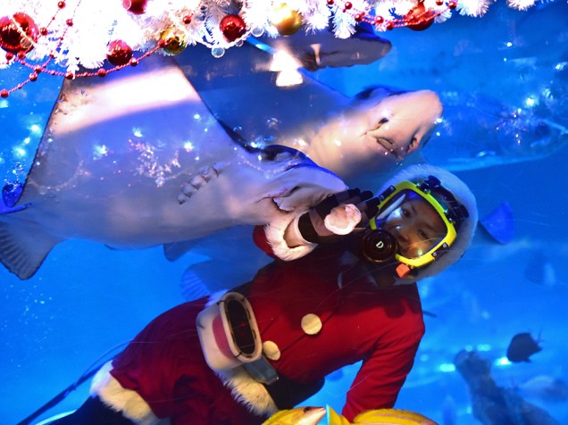 Cuidadora dentro de aquário enfeitado para o Natal em Tóquio, no Japão